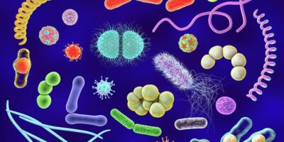 фото: https://images.fineartamerica.com/ 