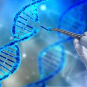 фото: https://www.ridus.ru/