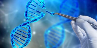 фото: https://www.ridus.ru/ 