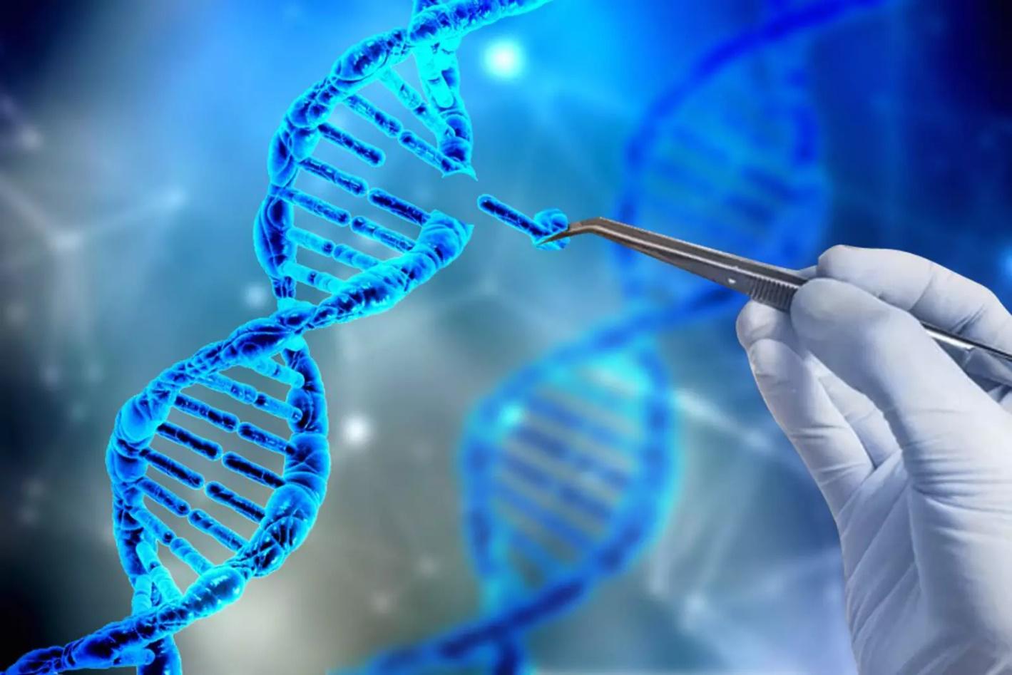 Ген геном генетические аппараты