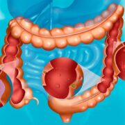 фото: https://1gr.cz/