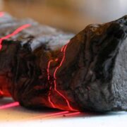 фото: https://new-science.ru/ 