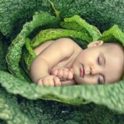 фото: https://fb.ru/