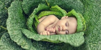 фото: https://fb.ru/ 