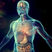 фото: https://storage.myseldon.com/