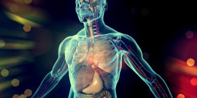 фото: https://storage.myseldon.com/ 