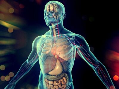 фото: https://storage.myseldon.com/