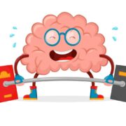 фото: https://dropi.ru/