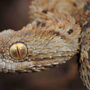 фото: https://t4.com.ua/