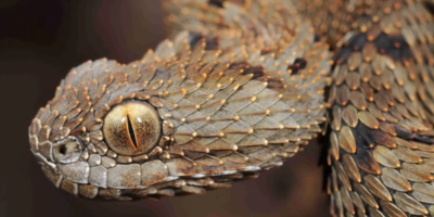 фото: https://t4.com.ua/ 