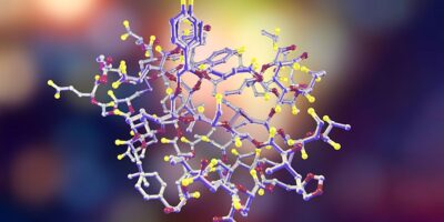 фото: https://www.manipulusmosca.com/ 