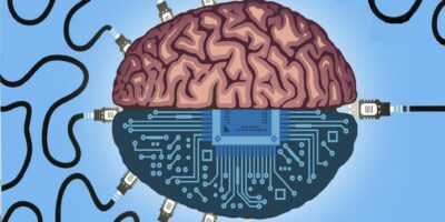 фото: https://trashbox.ru/ 