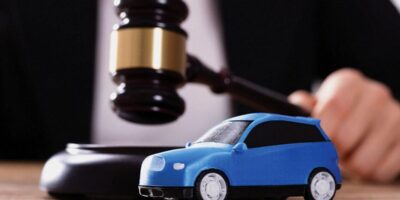 фото: https://www.vitbichi.by/ 