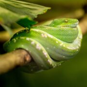 фото: https://pofoto.club/