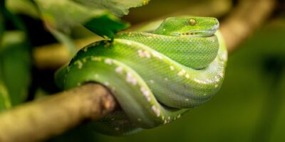 фото: https://pofoto.club/ 