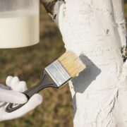 фото: https://avatars.dzeninfra.ru/