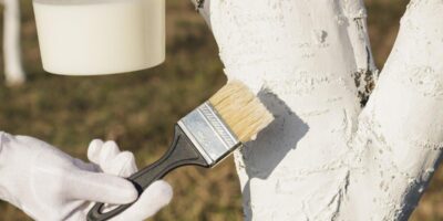 фото: https://avatars.dzeninfra.ru/ 