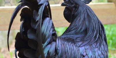 фото: https://pofoto.club/ 