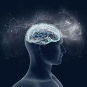 фото: https://avatars.mds.yandex.net/
