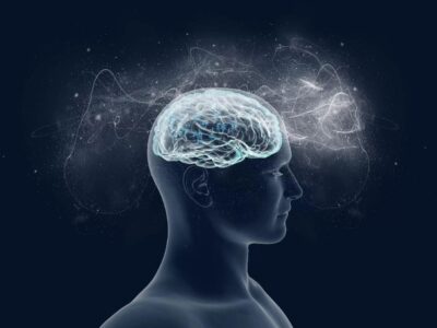 фото: https://avatars.mds.yandex.net/