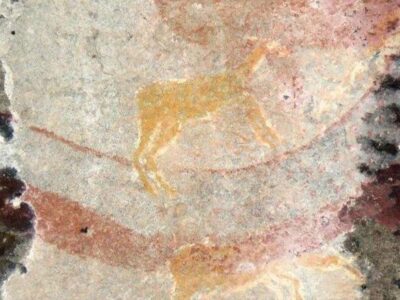 источник: Benoit, PLOS ONE, 2024