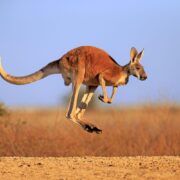 фото: https://i.pinimg.com/