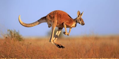 фото: https://i.pinimg.com/ 