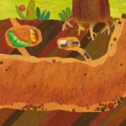 фото: https://mir-s3-cdn-cf.behance.net/