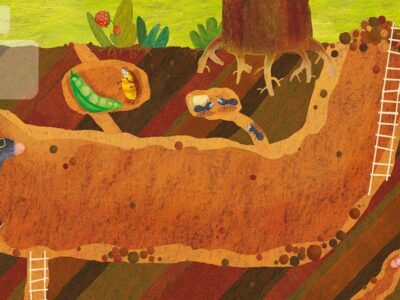 фото: https://mir-s3-cdn-cf.behance.net/ 