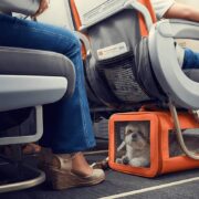 фото: https://moscow.er.ru/