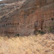 фото: G. Schreurs et al.