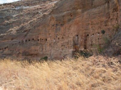 фото: G. Schreurs et al.