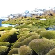 фото: https://cdn.lifehacker.ru/