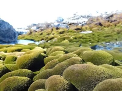 фото: https://cdn.lifehacker.ru/ 