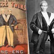 фото: https://faktodrom.com/