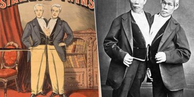 фото: https://faktodrom.com/ 