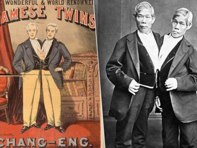 фото: https://faktodrom.com/ 