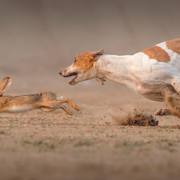 фото: https://avatars.dzeninfra.ru/