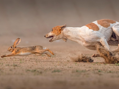 фото: https://avatars.dzeninfra.ru/ 