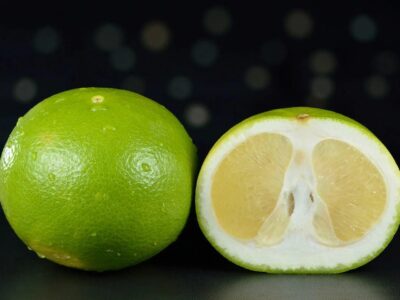 фото: https://avatars.mds.yandex.net/ 