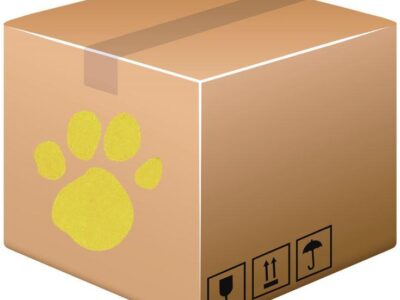 фото: https://i.pinimg.com/