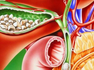 фото: https://newhospital.ru/ 