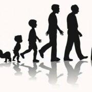 фото: https://avatars.mds.yandex.net/