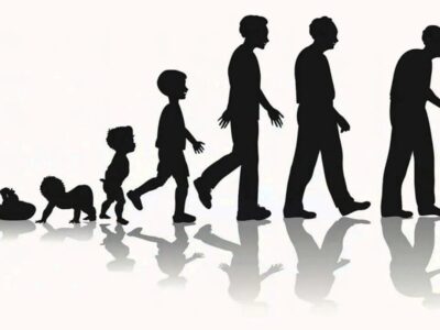 фото: https://avatars.mds.yandex.net/