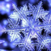 фото: https://cdn.culture.ru/images/