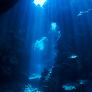 фото: https://images.ctfassets.net/ 