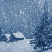 фото: https://pic.rutubelist.ru/