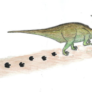 фото: Okayama University of Science (OUS)