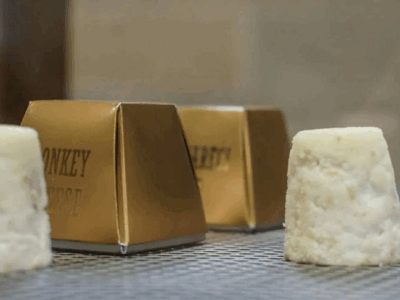 фото: https://static29.tgcnt.ru/